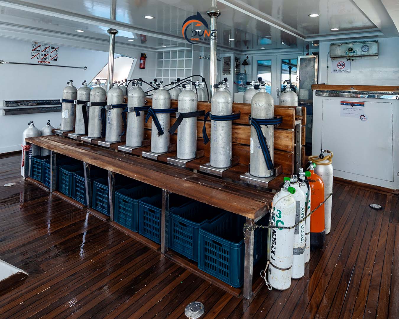 Egypt Liveaboard: 1 Nov - 8 Nov 2025