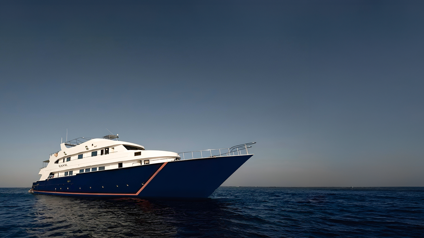 Egypt Liveaboard: 1 Nov - 8 Nov 2025
