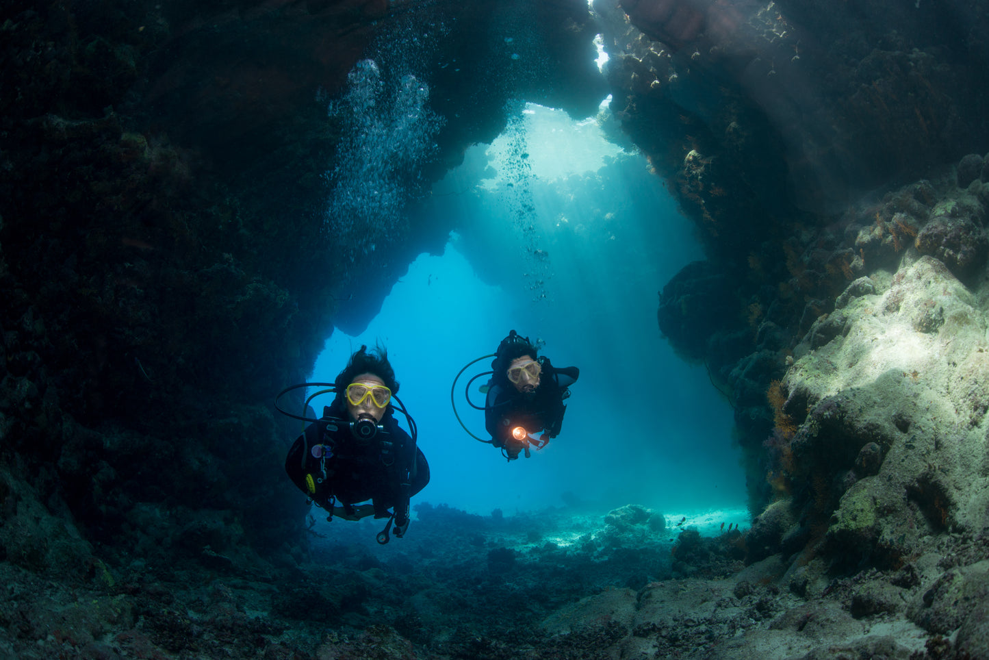 Egypt Liveaboard: 1 Nov - 8 Nov 2025