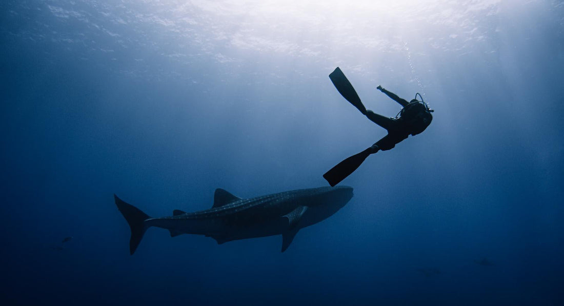 The ultimate Scuba Diving Calendar 2026