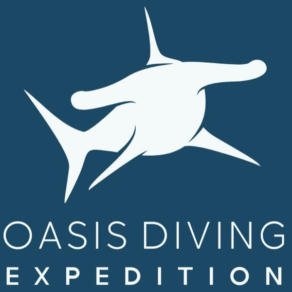 new logo