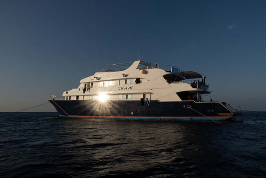 Egypt Liveaboard: 1 Nov - 8 Nov 2025