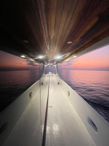 Maldives Liveaboard: 31 Jan - 07 Feb 2026