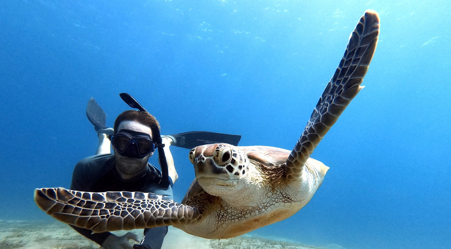 Egypt Liveaboard: 1 Nov - 8 Nov 2025