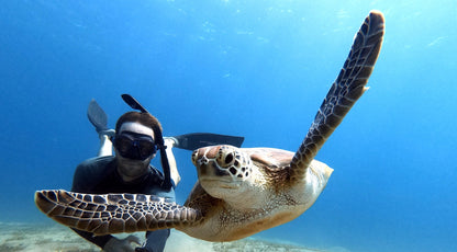 Egypt Liveaboard: 1 Nov - 8 Nov 2025